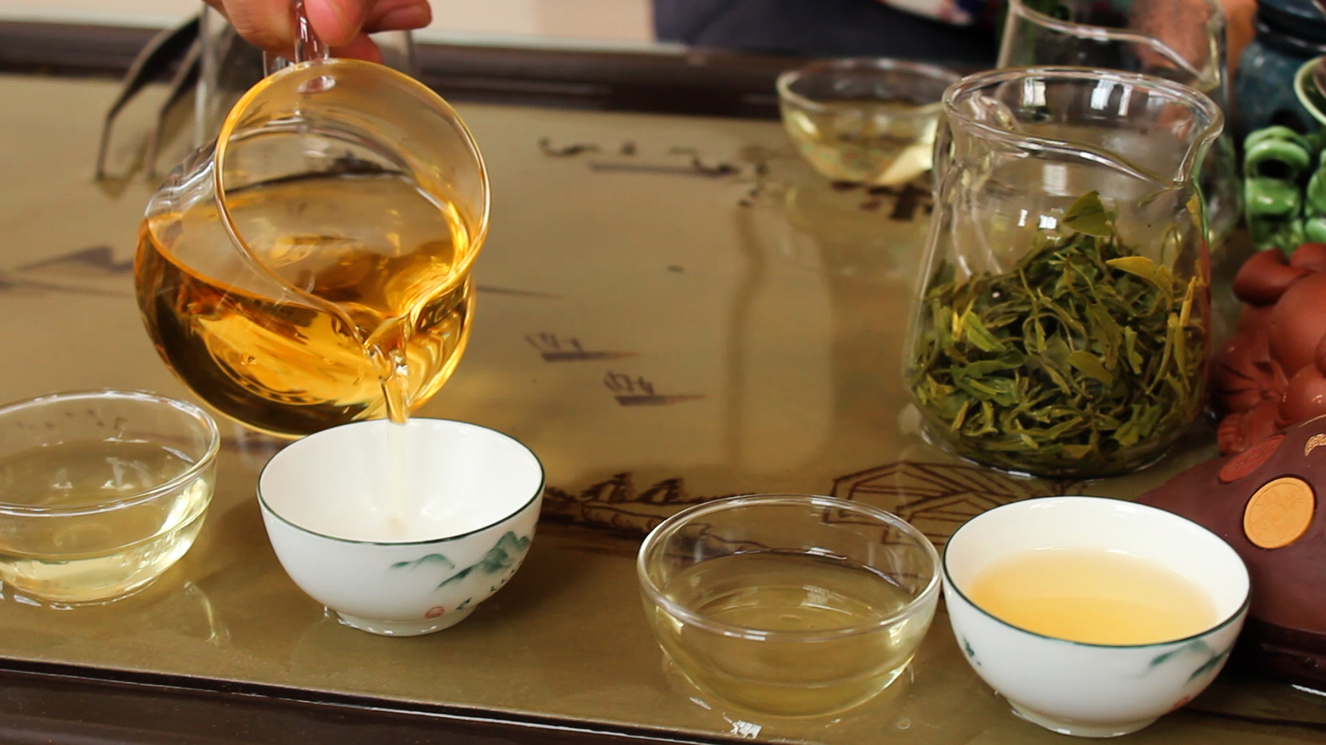 Melatih Kesabaran Melawan Siput